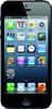Apple iPhone 5 16GB - Полысаево